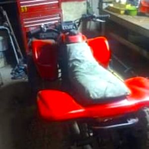 Honda 250 sportstrax 2004 model